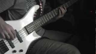 Video thumbnail for Snow (Hey Oh) - Red Hot Chili Peppers - Bass Cover With Rogue LX205B by Vache Laliashvili