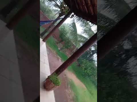 Mais Chuva em Porteiras Ceará hoje 01/04/2026