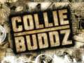 Collie Buddz Blind To You Haterz 