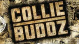 Collie Buddz  Blind To You Haterz