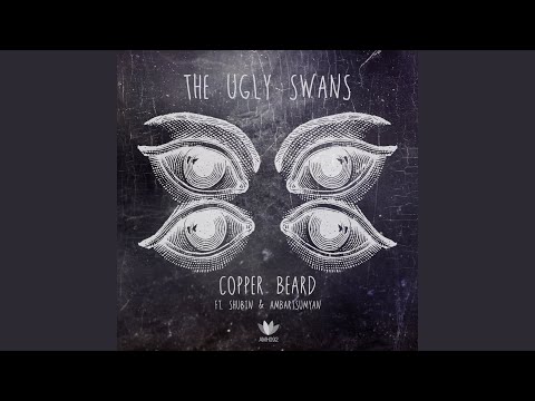 The Ugly Swans (Feat. Shubin & amp; Ambartsumyan)