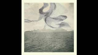 Snow Ghosts - 2013 - A Small Murmuration