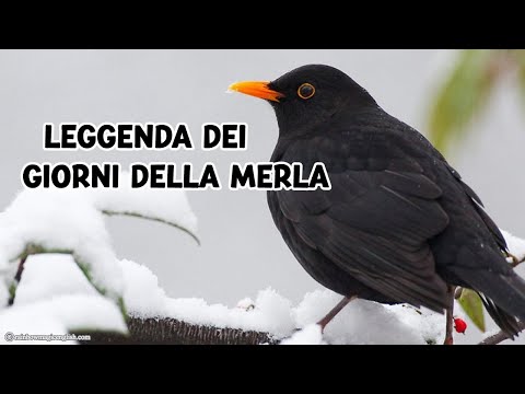 La leggenda dei 3 Giorni delle Merla