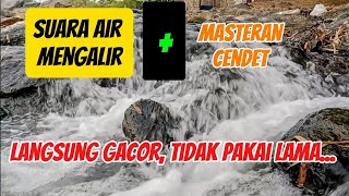 Download lagu Masteran cendet dan suara air mengalir pancingan jitu burung stress dan macet bunyi mp3
