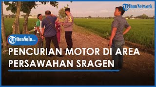 Berita Solo Hari Ini: Pencurian Motor di Area Persawahan Sragen, 2 Pelaku yang Masih Remaja Buron