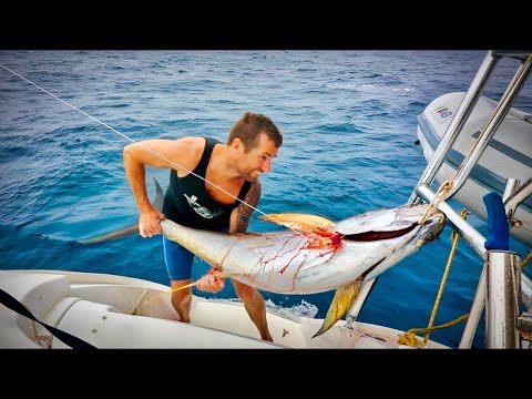 How to catch BIG FISH while sailing