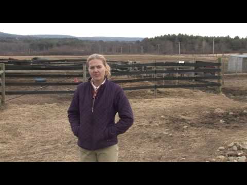 YouTube video about: How much space does a horse require?