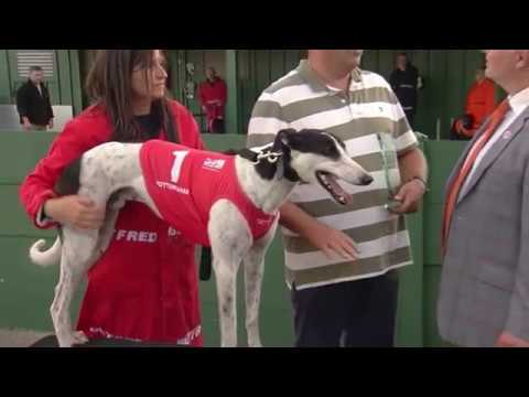 2019 DERBY - R2 HEAT 3 - T1 DESPERADO DAN