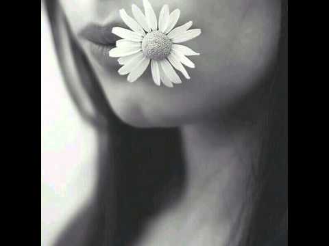 Diesler - Cannibal Lunch