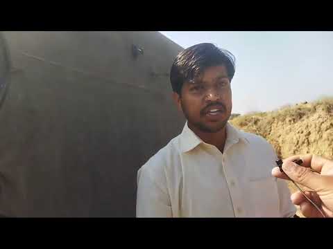 Dog race ::kot Fateh Khan /Wahaib Ali Hussain abdail !! bainte lohai qute race