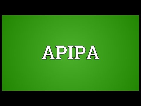 APIPA Meaning