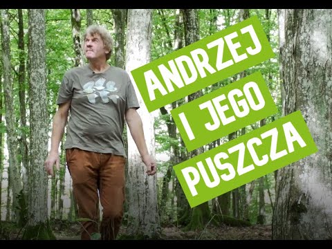 Andrew of the Forest