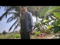 Nee Adugu Neede From Pavan Direct By AbHi RaM