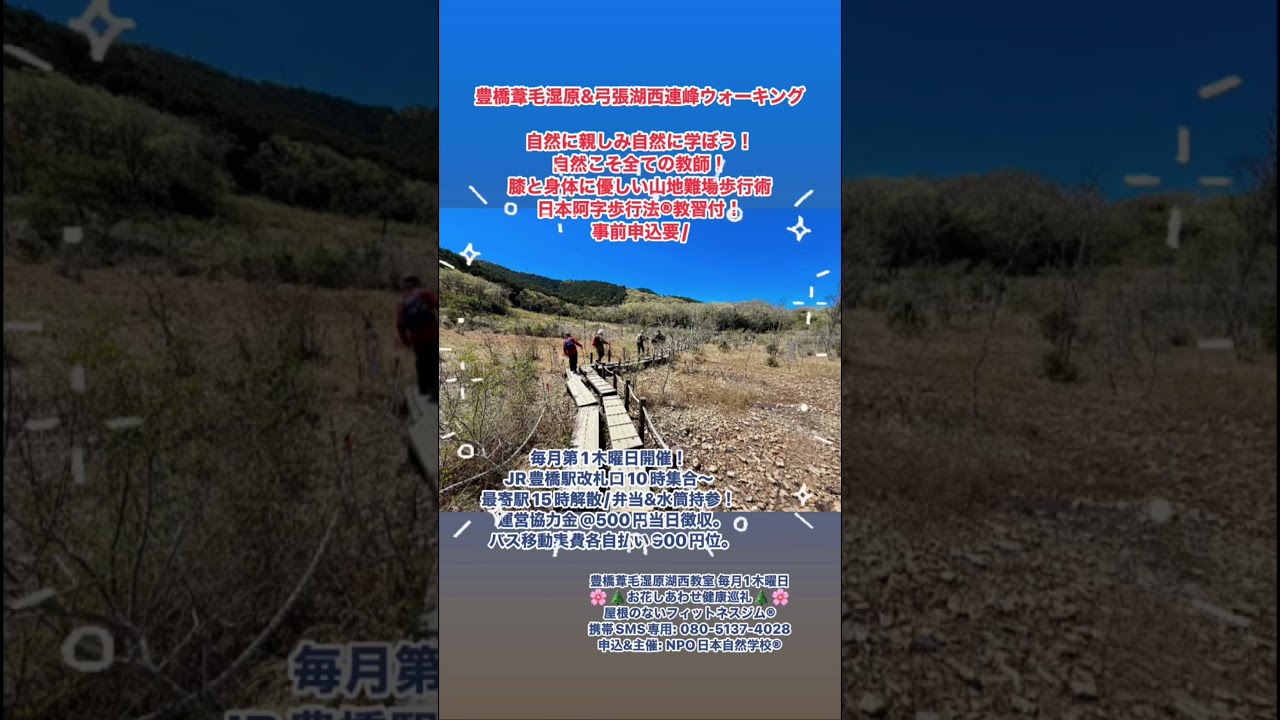 #豊橋葦毛湿原 #健康巡礼 #屋根のないフィットネスジム #日本自然学校 #いもうしつげん #春のお花 #ラブネィチャーウォーキング #豊橋の尾瀬 #愛知県豊橋市多米町岩崎 #ハルノリンドウ