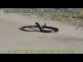 SNAKE DANCE GIGI D AGOSTINO
