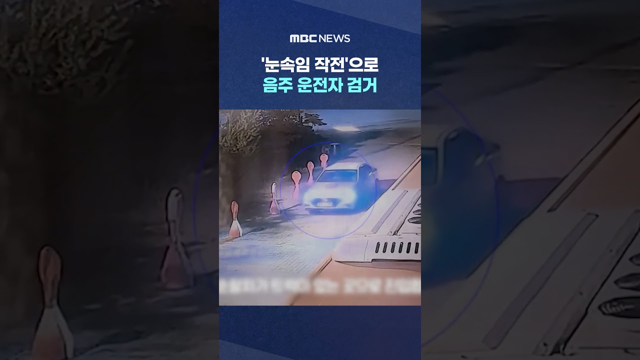 [뉴스/정치 인기영상] '눈속임 작전'으로 음주 운전자 검거 #Shorts (MBC뉴스)