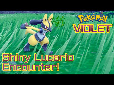 Shiny Lucario Encounter!