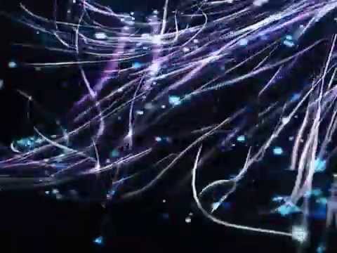 You're Free - Yomanda