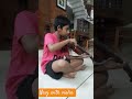 Navj Violin