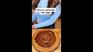 Download lagu nature always provides!! @dailyoriginalvids #eggs #naturaldye #dyedeggs mp3 Download lagu nature always provides!! @dailyoriginalvids #eggs #naturaldye #dyedeggs mp3