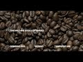 De’Longhi PrimaDonna Soul ECAM610.75.M Bean-to-Cup Coffee Machine– Metal & Black