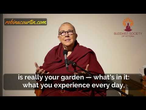 We Are the Creator of Our Experiences. Ven. Robina Courtin, 2018.