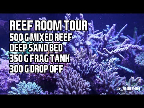 1150 Gallon Reef Tank Room Tour