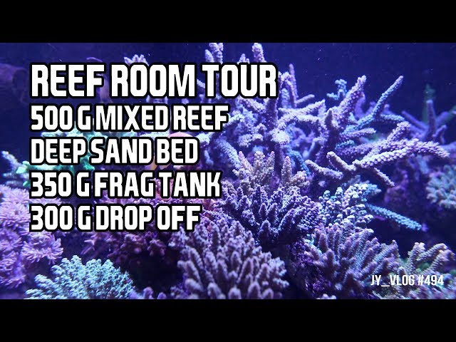 1150 Gallon Reef Tank Room Tour