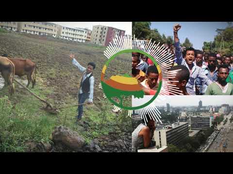 Oromo Music: Finfinneen Yoomiyuu Teenyaa