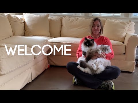 Videos from Floppycats