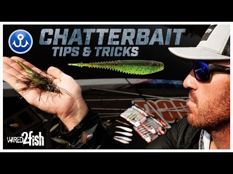 Wheeler's ChatterBait and Trailer System for Patterning Bass