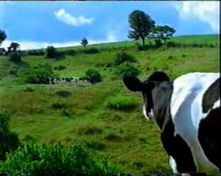 Distansarbete i Bregottfabriken 2000