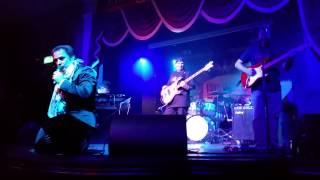 Love me Tender Jim The King Brown