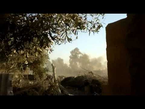 استهداف قوات النظام في بلدة المريعية بالقناص من قبل لواء أحرار الشويط بالتزامن مع القصف المدفعي لقوات النظام على البلدة