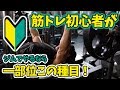 筋トレ初心者がジムでやるなら1部位この種目!