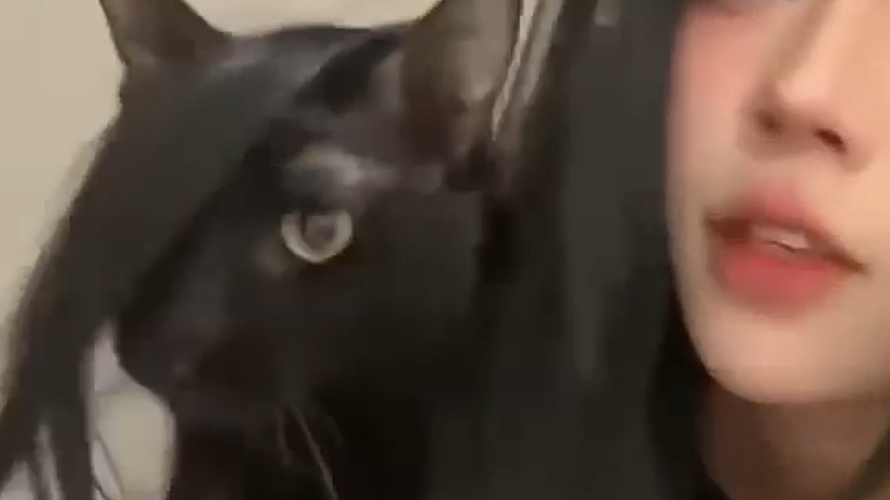 UNUSUAL MEMES COMPILATION V394