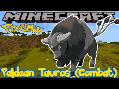 HOW TO FIND PALDEAN TAUROS (COMBAT BREED) IN PIXELMON REFORGED - MINECRAFT GUIDE - VERSION 9.1.4