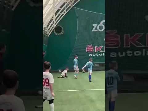 Minijatura videozapisa