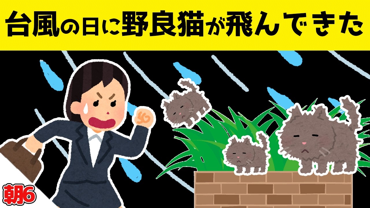 台風の日に飛んできた野良猫の親を探した結果ｗｗｗ