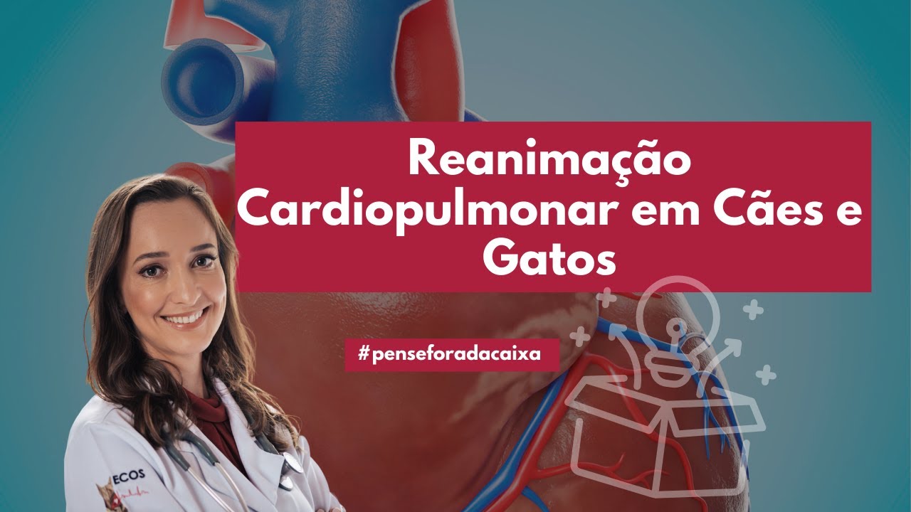 Reanimação Cardiopulmonar em Cães e Gatos