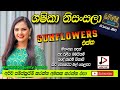 SHASHIKA NISANSALA WITH SUNFLOWER ශශිකා නිසංසලා පැරණි සන්ෆ