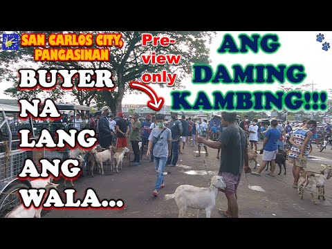 MURANG BILIHAN NG MGA HAYOP-KAMBING ONLY-BAGSAK PRESYO-SAN CARLOS CITY, PANGASINAN-PRE-VIEW ONLY