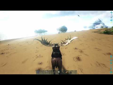 First time trying the Megaloceros mount [Upscaled 4K] ARK  Survival Evolved