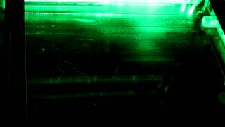 X-rays made visible!