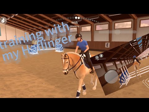 Etg training session with my haflinger!!!!