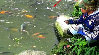 Download lagu BIMBANG❗AWALNYA TAKUT KENA DENDA CARI IKAN DI SINI #HC430 mp3 Download lagu BIMBANG❗AWALNYA TAKUT KENA DENDA CARI IKAN DI SINI #HC430 mp3