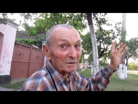 Agrișu Mare - istorie - Agrișenii în țară