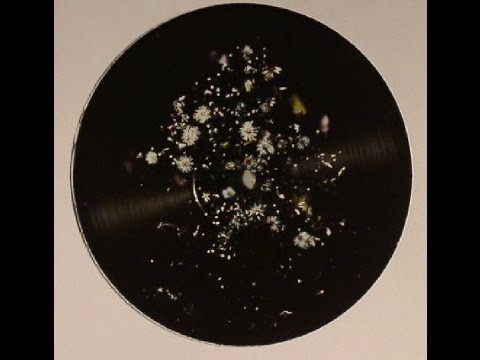 Little Hado - Biciul Fermecat