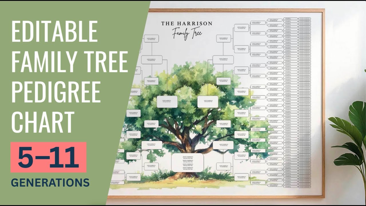 Editable Family Tree Chart (5–11 Generations) | Pedigree & Genealogy Template in Canva