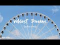 Wildest Dreams - Taylor Swift | 1 HOUR LOOP